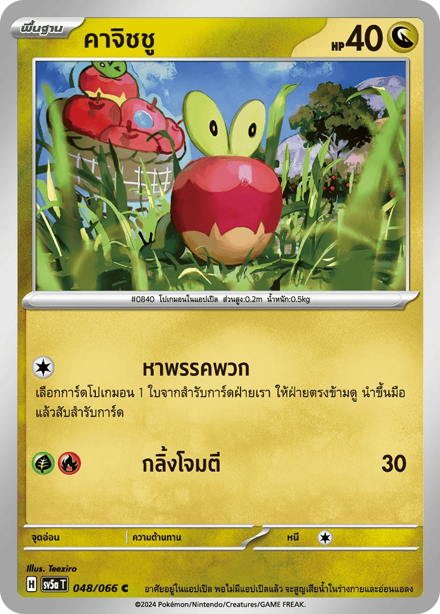 คาจิชชู