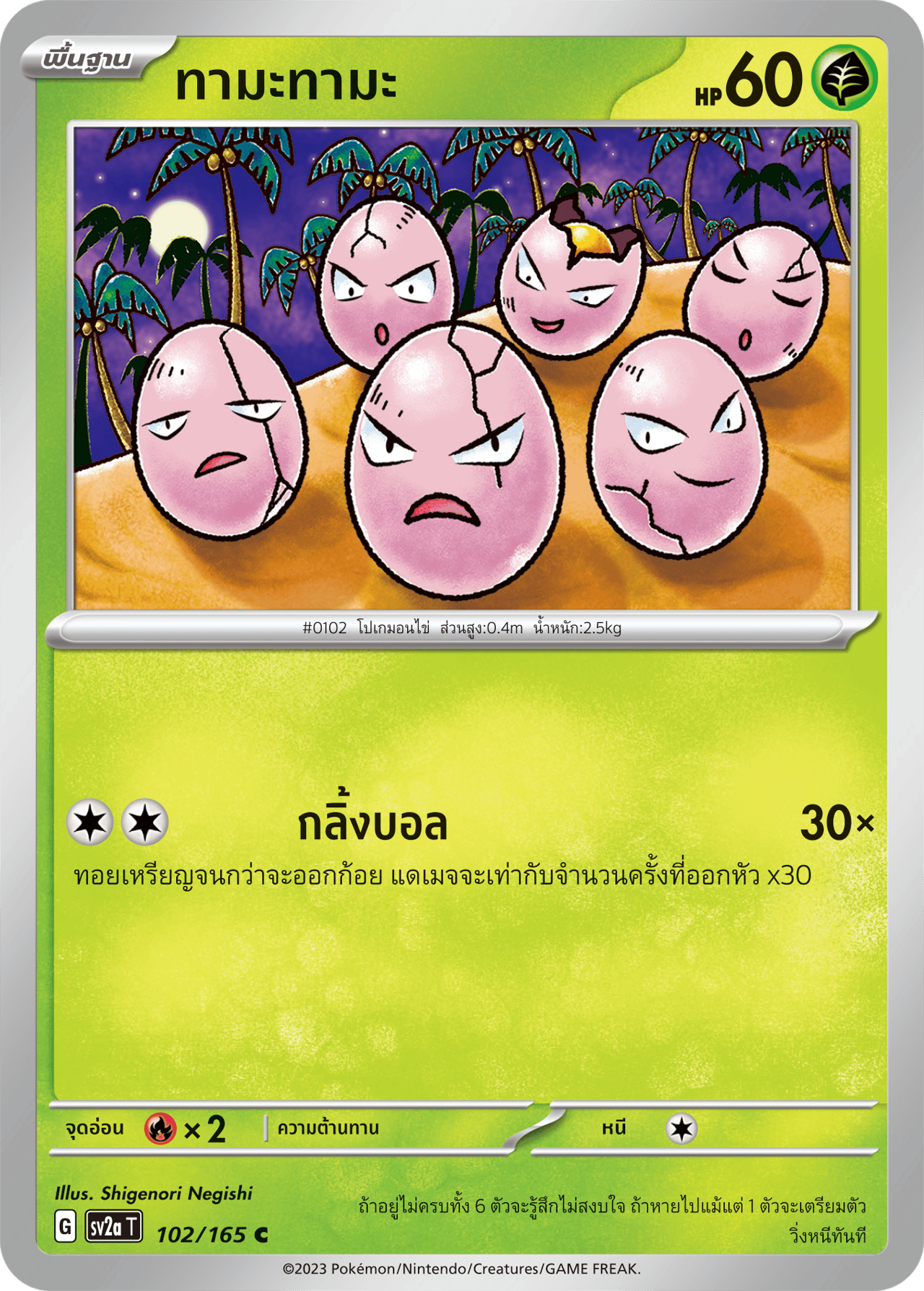 ทามะทามะ