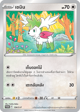เชมิน